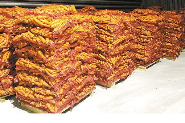 «Магнит» собирается купить крупного поставщика картофеля для производства чипсов