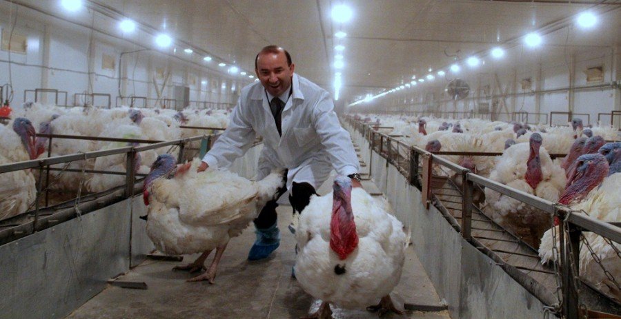 «ВЭБ» даст «Евродону» ещё 2,6 миллиарда