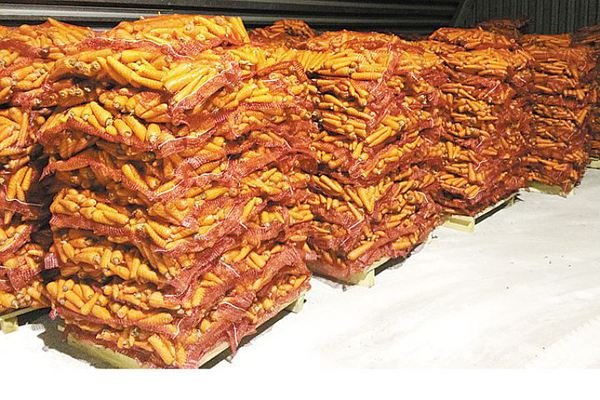 «Магнит» закрыл сделку по приобретению картофельных активов