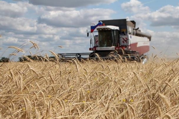 Российская пшеница падает в цене