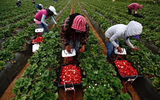Полякам придется платить за наем иностранных «заробитчан»