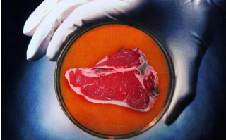 Израильтяне помогут китайцам развивать производство искусственного мяса