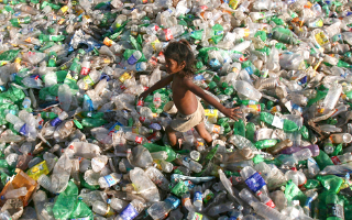 Панцири морских обитателей заменят пластиковую упаковку