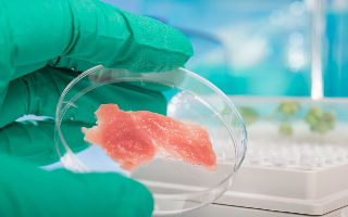 Стартап купил старейшую технологию производства искусственного мяса