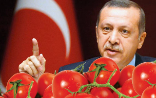 В Россию возвращаются турецкие помидоры