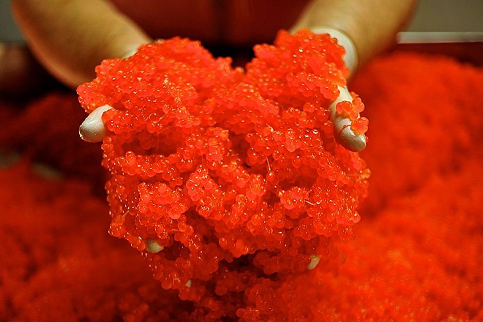 Красная икра подорожала на 54%