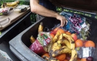 Американцы ежегодно выбрасывают свыше 70 миллионов тонн продуктов