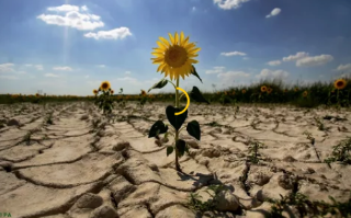 Украина ежегодно теряет 1,5 миллиарда долларов из-за бесхозяйственности