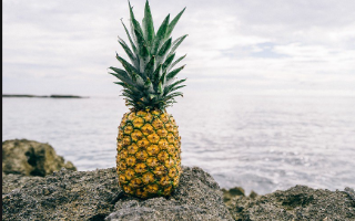 Тайный биткоиновый миллионер раздает деньги на благотворительность