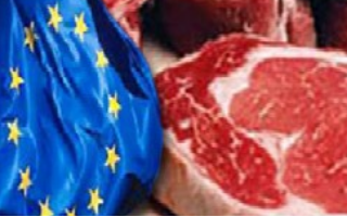 Россия может покинуть ВТО из-за иска Евросоюза