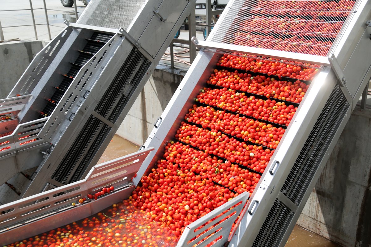 «АПХ Эко-культура» займётся производством томатного сока