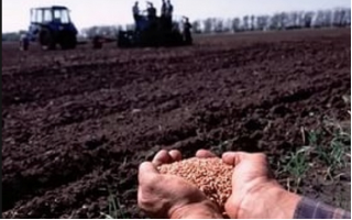 В Башкирии на работу в сельское хозяйство заманивают единовременными выплатами