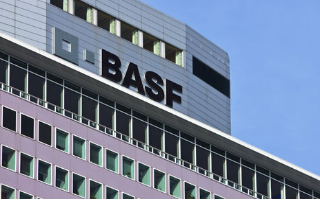 BASF создал для украинцев «Клуб новаторов агробизнеса»