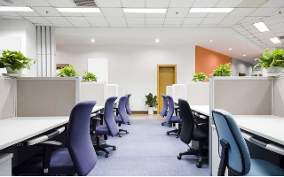 Новозеландская компания тестирует четырехдневную рабочую неделю