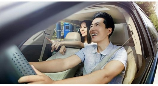 Диди Чусинг вызвал приостановку обслуживания автобусов