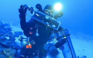 Новая барокамера позволила поднять рыб со дна Мариинской впадины