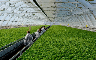 «Эко-культура» войдет в крупный китайский проект