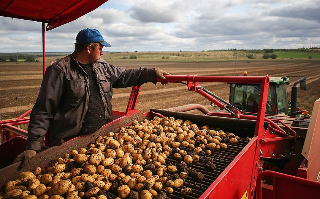 Экс-сенатор Фетисов расширил овощеводческий бизнес