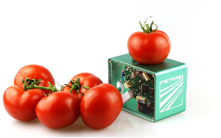 Сканер Фраунгофера позволяет проверять продукты на свежесть