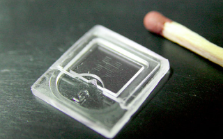 Полиция США активно вооружается приборами для экспресс-анализа ДНК