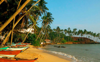 Туристам предложат альтернативу турам на Шри-Ланку