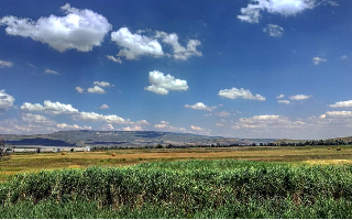 «Мираторг» планирует приобрести актив на юге под новый проект