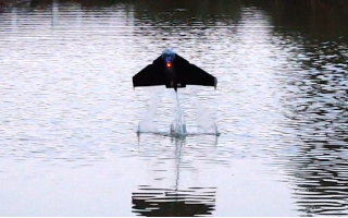 Британцы создали парящего над водой робота без батарей