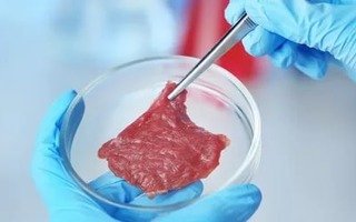 Котлета за миллион: в России создали первое искусственное мясо