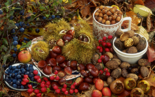 Российские производители наращивают экспорт деликатесов