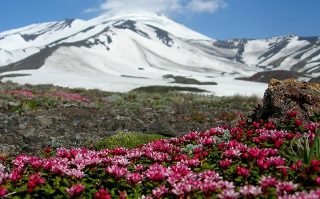 Основатель AEON планирует построить курорт на Камчатке