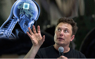 Маск рассказал о стоимости чипирования людей