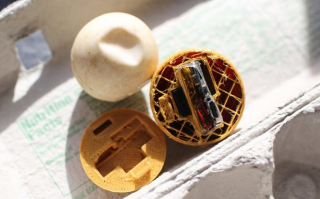 Поддельные яйца с маячками помогли разоблачить сеть браконьеров