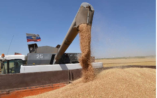 У экспортеров возникли сложности с вывозом пшеницы из России
