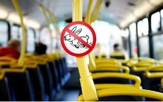 В России предлагают повысить штраф за безбилетный проезд