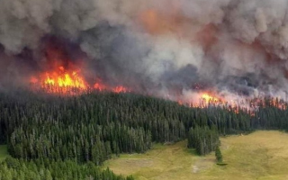 Ростех планирует создать противопожарные бомбы