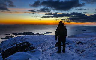 Россияне начали активно интересоваться «арктическими гектарами»