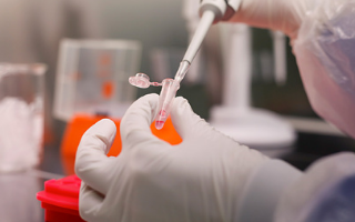 В России запустят производство полезных пищевых бактерий