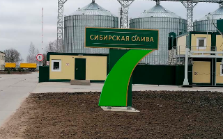 «Сибирская олива» удвоит мощности по переработке рапса