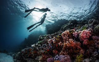 В Египте появится новый вид экскурсий